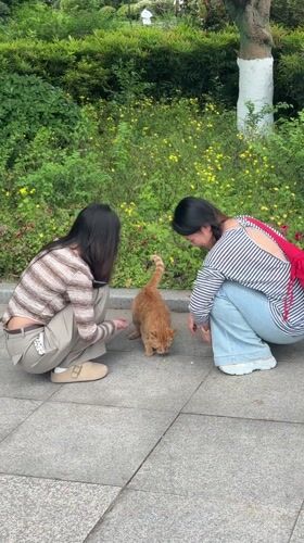 Daily life scenes captured across Jiangjin, China neighborhoods