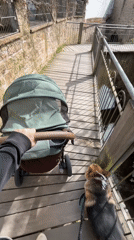 Person with baby stroller and corgi crosses bridge in Meisenheim