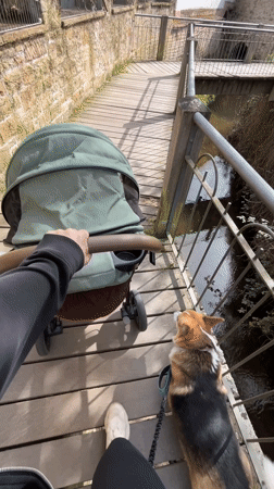 Person with baby stroller and corgi crosses bridge in Meisenheim