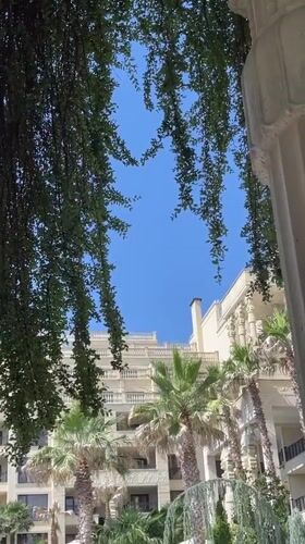 Ornate Varna hotel framed through summer foliage