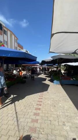 The video shows a bustling outdoor market on a bright, sunny day. The scene is dominated by rows of market stalls, each covered by a large, colorful umbrella, casting long shadows on the paved walkway. The stalls appear to be selling fresh produce, with fruits and vegetables prominently displayed. Several people are seen browsing the stalls, walking along the pathway, and interacting with vendors.

In the foreground, a man in a denim jacket and shorts walks away from the camera, accompanied by a small dog. Further down the market, other individuals are visible, including a man in a blue t-shirt and shorts with a stroller. The atmosphere seems lively and typical of a local market. The clear blue sky suggests good weather, and the bright sunlight indicates it is likely late morning or early afternoon. The architecture of a building visible in the background provides a hint of the location's setting. No discernible text is visible in the video.