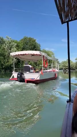 A white and red boat with a white canopy is moving away from the camera on a body of water. A person is visible in the boat, sitting in the driver's seat. The boat has an outboard motor and a life preserver attached to the back. The water is a greenish-blue and is disturbed by the boat's wake. Trees and foliage line the banks of the waterway. The sky is clear and blue. Another boat, partially visible in the foreground on the right, appears to be following the first boat. In the distance, two people in a yellow kayak are also visible on the water. The scene takes place on a sunny day.