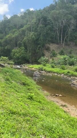 The video shows a small, clear river running through a green, lush landscape. The riverbed is rocky with some sandy areas. The water is shallow and clear enough to see the rocks and sand at the bottom. The river banks are covered in green grass and vegetation. In the background, a densely forested hill rises up. The sky is blue with some white clouds visible. The video is shot from a stationary position. The overall impression is one of a tranquil, natural environment.
