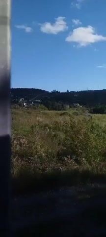 This video shows a view from inside a vehicle, looking out at a landscape. The vehicle appears to be in motion, as evidenced by the slight blur of the vegetation and the way the scenery passes by. The landscape is rural, with rolling hills covered in green vegetation. There are some trees and bushes in the foreground, with a cluster of houses visible on the hillside in the distance. The sky is blue with a few white clouds. There is a dirt road or path in the foreground. The video appears to be taken during the daytime, likely in the late morning or early afternoon, given the bright sunlight. No people or animals are visible in the video.