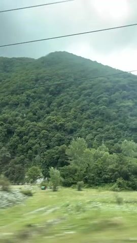 The video captures a scenic view of a lush green mountain covered in dense forest. The camera appears to be in motion, possibly from a vehicle, creating a slightly blurred effect that emphasizes the sense of travel. A wide expanse of green grassland stretches out in the foreground, with scattered rocks and patches of white, possibly snow or ice, adding texture to the landscape. Further in the distance, more trees dot the grassland, leading up to the imposing mountain.

Several man-made structures are visible, including what appears to be a covered area with a corrugated roof, and a building with a blue roof and white walls. A light-colored wooden fence runs along the bottom edge of the frame in some parts of the video. Overhead, power lines are visible against a sky that transitions from overcast and gray to patches of blue with white clouds.

The overall impression is one of natural beauty and tranquility. The dense greenery suggests a temperate or humid climate, and the time of day seems to be daytime, given the natural light. There are no people visible in the footage. The text "00:00" and subsequent timestamps indicate the duration of the video clips. The location context of Bzypta, Abkhazia, suggests a mountainous, possibly remote, natural setting.