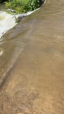 This is a short video clip of a river flowing over a small drop. The water is muddy brown and turbulent, with white foam indicating rapids. Lush green vegetation grows along the banks of the river. The scene appears to be in a natural outdoor setting, likely during the daytime as indicated by the bright lighting. The sun is casting shadows on the water and the ground. The overall impression is of a dynamic and active waterway. There is no visible text in the video.