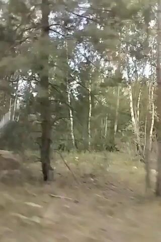 The video shows a view of a forest from a moving vehicle. The trees appear to be a mix of deciduous and coniferous. The ground is covered in dirt and some vegetation. The lighting suggests it is daytime. The video is shaky, indicating movement. There are no people or animals visible.