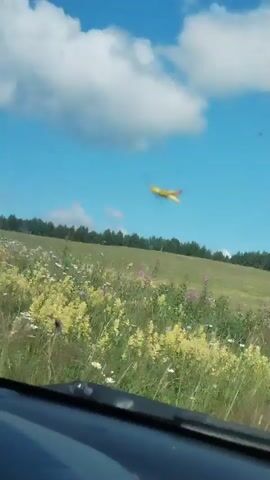The video shows a yellow insect, possibly a grasshopper, flying in the sky above a field of wildflowers. The perspective is from inside a vehicle, looking out through the windshield. The sky is blue with some clouds, and a line of trees can be seen in the distance. The insect is in focus and appears to be in mid-flight.