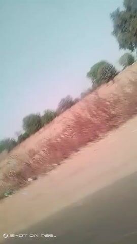 The video, shot from a moving vehicle, shows a rural landscape. The ground is dry and reddish-brown, with sparse vegetation and occasional trees. In the distance, there are white buildings. As the camera moves, a person on a motorcycle wearing a yellow shirt drives by. The sky is pale blue. The quality of the video is somewhat grainy and shaky. The phrase "SHOT ON P65_" is watermarked in the corner.