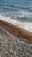 Beach waves and resting cat captured in Montenegro