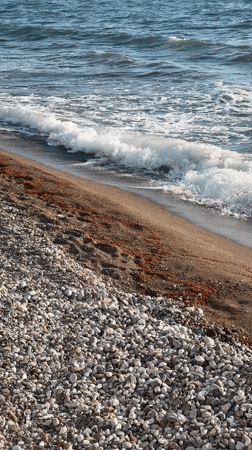 Beach waves and resting cat captured in Montenegro