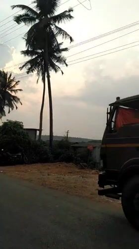 Ordinary street life captured in Oxel, India