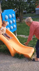 Afternoon playtime at a Sokolov playground