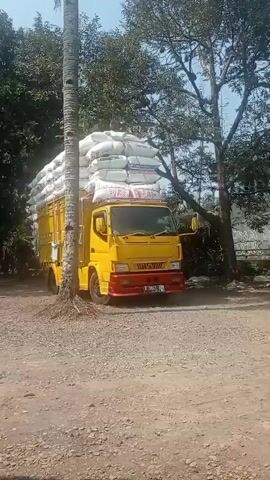 A yellow truck is parked on a dirt road. The truck is loaded with large white sacks of goods that are stacked high on top of the truck bed. The sacks are secured with ropes. The truck has a yellow cab with red accents on the front. There is a tall palm tree to the left of the truck and other trees in the background. The ground is covered in gravel and dirt. The sky is blue.