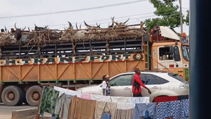 Heavy truck traffic through Jalingo streets captured from clothesline