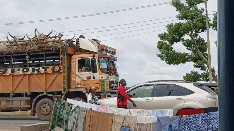 Heavy truck traffic through Jalingo streets captured from clothesline