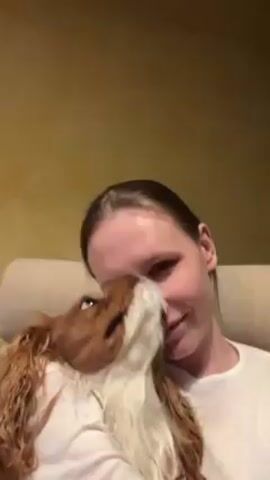 A young woman with light skin and brown hair pulled back is holding a brown and white Cavalier King Charles Spaniel dog against her chest. The woman is wearing a white t-shirt. The woman looks at the camera with a slight smile, then puckers her lips as if giving a kiss towards the dog's head. The dog looks up at the woman. The background is blurry, but appears to be a beige wall.