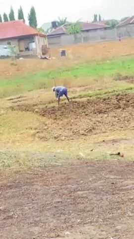 The video shows a person in a field tending to the soil. The person is wearing a light-colored hat, a patterned blue shirt, and blue shorts. They are bent over, using a tool to work the soil. The field is mostly bare earth, with some patches of green grass. In the background, there are houses and a grassy slope. The sky appears overcast.
