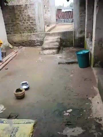 A courtyard scene in what appears to be a rural or underdeveloped area. The ground is a mixture of dirt, mud, and some patchy green moss or algae. There are some weathered brick structures visible, some with exposed rebar and unfinished walls, suggesting construction or disrepair. A set of concrete stairs leads up to a slightly elevated area. A large green plastic bucket is situated near the stairs. In the foreground, there are two pots on the ground: one is a metal pot with a lid, and the other is a woven basket containing some green material. To the left, there are several wooden planks laid on the ground. A person, appearing to be a child wearing a yellow shirt and blue pants, is standing on some of these planks, holding a bucket and looking towards the left. The overall atmosphere is utilitarian and somewhat unkempt. The lighting suggests it is daytime, possibly overcast.