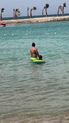 A man and child are waist-deep in water on a beach. The man is facing away from the camera and is wearing neon green swimming trunks. The child is in an inner tube. The water is turquoise and the sky is bright. Behind the man and child is a line of palm trees on a small strip of land. The water is calm with small waves. White buoys are visible in the water.