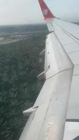The video shows an aerial view from an airplane window. The right wing of the plane is prominently featured, showing its white and metallic surface with visible rivets and a red and orange logo on the wingtip. Below the wing, a dense expanse of green palm trees stretches to the horizon. In the distance, hazy buildings and infrastructure, including what appears to be a road or highway, can be discerned. The sky is bright and somewhat overcast. The view suggests the airplane is either ascending or descending over a tropical or subtropical region with extensive palm tree plantations.