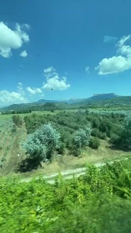 The video shows a view from a moving vehicle, likely a train or car, looking out over a rural landscape. The sky is a vibrant blue with scattered white clouds. Below, there are rows of green plants, possibly crops or trees, organized in neat lines across rolling hills. In the distance, more hills and mountains are visible. The foreground is dominated by a blur of green foliage, indicating the speed of the vehicle. The overall impression is of a sunny day in the countryside.