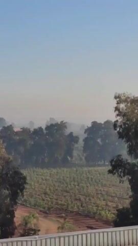 The video shows a rural, possibly agricultural, scene under a hazy blue sky. There's a field or vineyard in the foreground, with rows of young plants. In the distance, trees are visible, shrouded in mist.  The camera pans up and right, revealing a large building in the background, also partially obscured by mist. A small amount of smoke rises near the building's roof. The view is partially obstructed by a white metal railing. Birds are seen on the roof. The overall atmosphere is hazy and still.