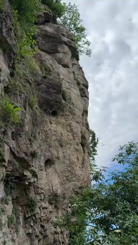 The video shows a rock formation with foliage growing on it, set against a cloudy sky. The rock face is mostly gray with natural-looking holes. Green foliage is visible on top and sides of the rock. The sky is white with gray clouds and a patch of blue in the corner.