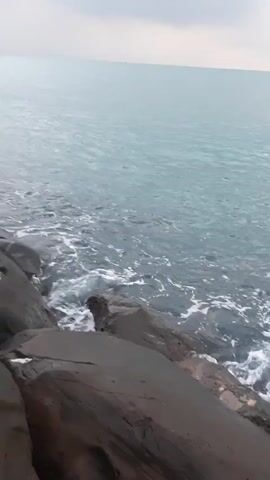 The video depicts a rocky shoreline where waves are crashing against the rocks. The water is a murky blue-green color, and white foam is visible as the waves break. The rocks are dark and wet. The sky is overcast, creating a diffuse light. The camera appears to be stationary, providing a close-up view of the water and rocks.