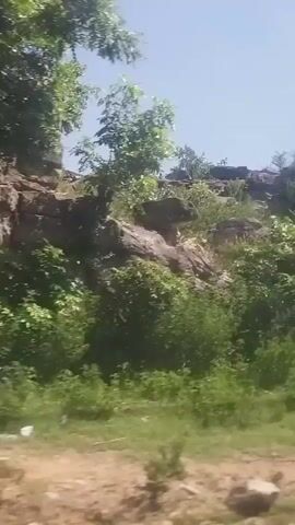 The video shows a landscape with rocky terrain and vegetation. The camera appears to be moving, possibly from a vehicle, as the scene is in motion. The foreground consists of green grass, and the background features a rocky hillside covered with trees and bushes. The sky is visible and appears clear. There are no people or specific objects of interest clearly visible in the frame. The overall impression is of a natural, outdoor environment.