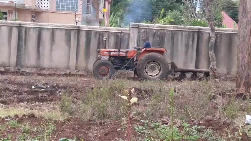 An orange tractor is plowing a field alongside a concrete wall. The driver is a man wearing a blue shirt. Smoke is rising from the tractor’s exhaust pipe.  The field is mostly dirt with some patches of grass and small plants. A tree is to the left of the tractor. Behind the wall is a multi-story building.