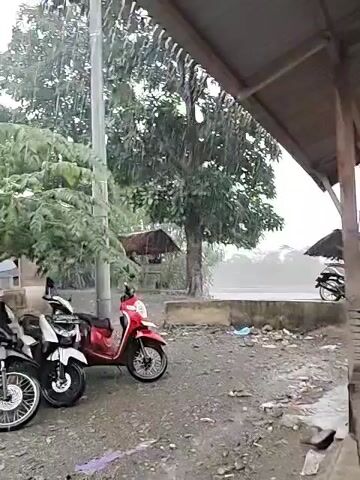 The video shows a heavy rain falling on a scene with several parked motorcycles, trees, and a body of water in the background. The camera is positioned under a corrugated metal roof, providing a partial view of the area. Three motorcycles, one black, one white, and one red, are parked in a row. A power pole stands tall, casting shadows from the trees in the backdrop. The trees are dense and leafy, with rain visibly falling through their branches. In the distance, there is a small hut with a thatched roof. Beyond that is a body of water, partially obscured by mist or rain. Several people are visible sitting together under a small structure. The ground is gravelly and littered with debris. The overall lighting is dim due to the rain and overcast sky.