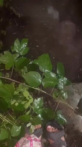 The media is a short video clip of an outdoor scene, likely taken at night or in low light conditions. The primary subjects are lush green foliage and a dark, wet surface that appears to be water or mud. There are also glimpses of a wire fence with wooden posts, suggesting the area might be a garden, yard, or enclosure.

The activity depicted is subtle, with the most prominent element being the water. In some frames, there are visible ripples and splashes on the dark surface, indicating movement, possibly from rain or a water source. The water appears to be flowing or accumulating, creating a dynamic element in the otherwise still foliage. The overall mood is somber and natural, possibly capturing the aftermath of rain or a natural water feature.

Notable details include the wetness of the leaves, the darkness of the surroundings, and the metallic sheen of the water. The presence of the fence suggests a boundary or man-made element within the natural setting. There is no visible text in the media. The location context provided is Beş-Küŋgöy, Kyrgyzstan.