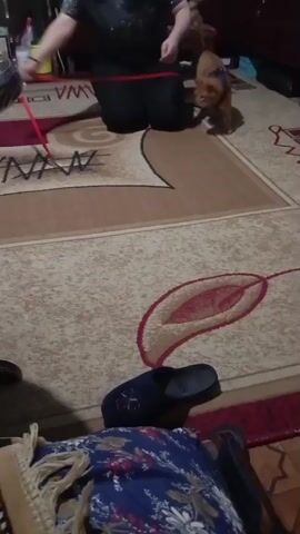 A ginger cat wearing a harness is on a patterned carpet. A person wearing dark clothing is kneeling on the carpet and petting the cat. The person moves their hand from the cat's head to its back. The cat is facing away from the camera. There are slippers and blankets on the floor in the foreground.