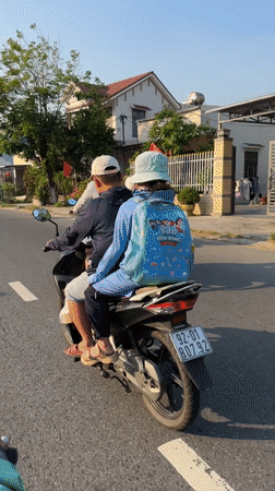 Motorcycles travel residential road in central Vietnam