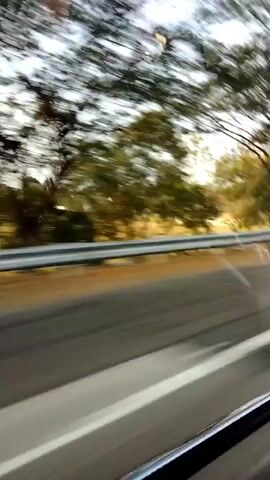 The video displays a blurry, motion-filled view from inside a moving vehicle, looking out the side window. A highway is visible, with two lanes of grey asphalt separated by a white line. A silver metal guardrail runs along the edge of the road. Beyond the guardrail, the ground is a muted yellowish-brown. Trees with thin branches and green and yellow foliage line the road, their forms streaked by the movement, creating an impression of speed. The sky above is a pale, washed-out blue with hints of yellow and white, suggesting either early morning or late afternoon light. The overall impression is of a landscape rushing past during a journey.