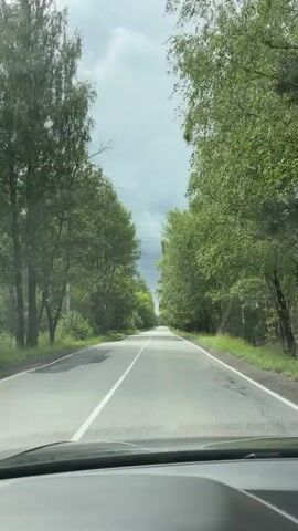 This video captures a first-person view from inside a car driving down a paved road bordered by lush green trees on both sides. The road has a white dividing line. The sky is overcast with dramatic clouds. The car appears to be in motion, suggesting a journey through a wooded area.