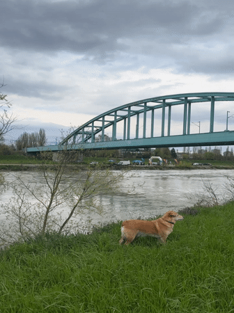 Spring morning activities along Zagreb riverbank captured by witnesses