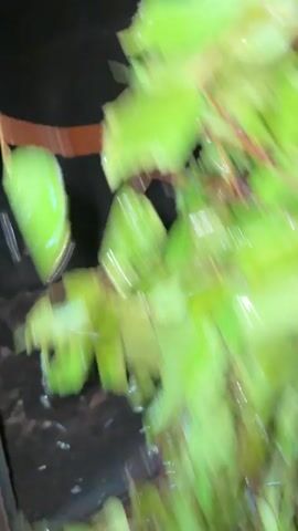 A bunch of green leafy branches is being shaken inside a dark metal container. The branches are wet and appear to be a broom or whisk. There is a hand holding the branches. The container has a rough, dark interior, possibly wood or metal. The branches are being moved rapidly, causing motion blur.