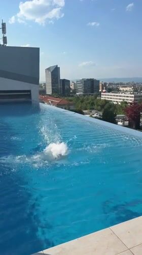 Rooftop pool day above the Sofia skyline