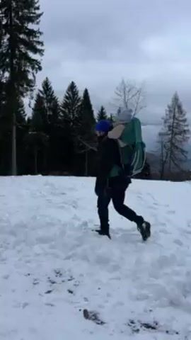 A man wearing a blue beanie, dark jacket, and dark pants is walking across a snowy field. He is carrying a child in a green backpack carrier. The child is wearing a light-colored hat and is facing forward in the carrier. Behind the man is a line of tall evergreen trees. The sky is overcast. The man is wearing snowshoes. He is walking towards the right side of the frame.