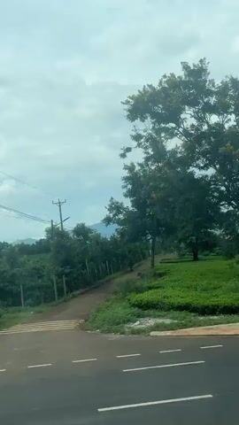 The video shows a moving shot from inside a vehicle. Traffic signs are visible at the beginning, including a red and white striped pole with a red oval sign with a white horizontal bar, and a blue oval sign with a white arrow pointing left. The scene transitions to a view of a rural landscape with rolling hills in the distance. Lush green fields, possibly tea or coffee plantations, dominate the mid-ground. Trees are scattered throughout the landscape. The sky is overcast with clouds. The road appears to be paved, with white lane markings visible. The video appears to be filmed during the day.