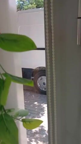 The video captures a brief outdoor scene. In the foreground, out of focus, is a white vertical element and some green leaves. To the right, a white van is visible. Beyond the van, a street is visible with cars parked and driving. A red car is parked on the side of the road, close to a tree. The tree has green leaves and a brown trunk. Buildings with tiled roofs are visible in the background. A white butterfly is briefly seen on a reflective surface, possibly a window, in the middle of the video. The overall impression is a residential or commercial street on a sunny day.