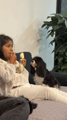 Girl enjoys snacks with dogs on sofa in Puebla