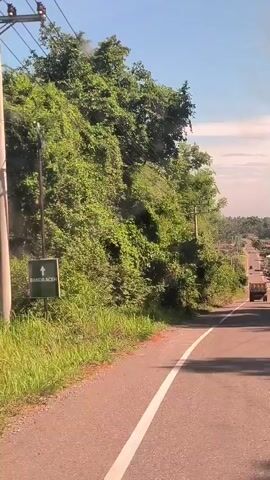 The video captures a daytime scene from a moving vehicle traveling down a paved road in Seuneubok, Indonesia. The road, which appears to be a main thoroughfare, gently slopes downwards. Both sides of the road are densely lined with lush, green trees and vegetation, creating a verdant corridor.

Several vehicles are visible on the road, primarily motorbikes. At the beginning of the video (0:00-0:01), a green road sign with indistinct white text is partially visible on the left side, nestled among the trees. As the video progresses, multiple motorbikes are seen traveling ahead, descending the slope. A prominent sight is a person riding a red motorbike with a passenger at the 0:02 mark. Further down the road, a light-duty truck and more motorbikes can be discerned. Utility poles with overhead wires run alongside the right side of the road.

In the distance, the landscape opens up to reveal a sprawling settlement, likely a town or village, characterized by numerous houses and buildings interspersed with abundant palm trees and other greenery. The sky above is bright blue with scattered white clouds, indicating clear and pleasant weather. Bright sunlight illuminates the scene, casting distinct shadows on the road surface. The overall impression is one of a peaceful journey through a populated, green, and sunny environment.