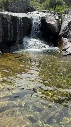 The media file captures a serene natural scene featuring a small waterfall cascading into a clear, shallow pool. The pool's bed is visible through the transparent water, revealing smooth, rounded stones and a scattering of small fish swimming near the surface. The water itself is a warm, greenish-brown hue, reflecting the dappled sunlight.

Surrounding the pool are large, grey rocks, typical of a mountain environment. The waterfall flows from a darker, more rugged rock face, creating a white froth at its base. Lush green vegetation, including trees and shrubs, grows on the slopes behind the waterfall and rocks, suggesting a vibrant, living landscape.

The overall impression is one of tranquility and natural beauty. The sunlight filtering through the water and illuminating the scene implies it is daytime, likely a clear and pleasant day. The presence of fish and the clear water suggest a healthy aquatic ecosystem. The scene evokes feelings of peace and connection with nature. The location context indicates this is likely an area in or near Hospental, Switzerland, known for its mountainous terrain and natural landscapes. There is no visible text in the media file.