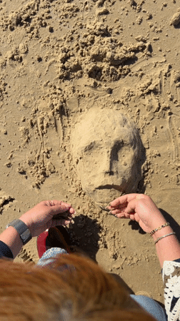 Pigeon spotted flying over Tel Aviv beach