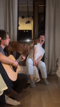 Casual dinner gathering documented in Tbilisi living room
