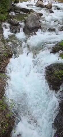 The video showcases a vibrant, fast-flowing river or stream cascading over and around numerous rocks. The water is clear but appears white and foamy in many sections due to its rapid movement and the creation of whitewater rapids. Green trees and lush foliage line both banks of the river, suggesting a natural, possibly forested, environment. In the background, a verdant mountainside rises, covered in similar green vegetation, with some rocky outcrops visible. The lighting appears soft and even, indicating either an overcast day or a diffused light source. No people or visible text are present in the scene. The overall impression is one of a dynamic and serene natural landscape, with the powerful sound and movement of the water being the focal point. The scene is consistent with a mountainous region like Sahún, Spain.