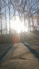 Winter scenes documented: icy pavement, bare trees, morning shadows